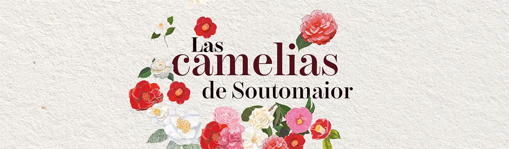 El castillo de Soutomaior celebra dos meses de actividades en torno a la camelia